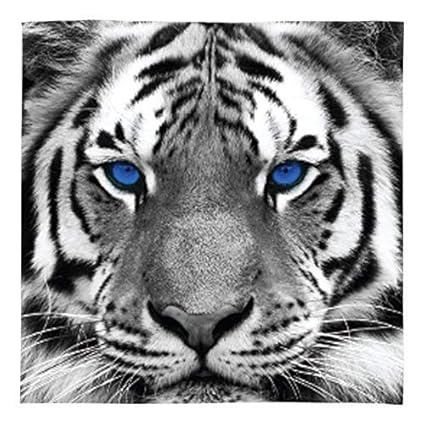 Snow Tiger Blue Eyes Design Soft Fleece Blanket Cover Throw