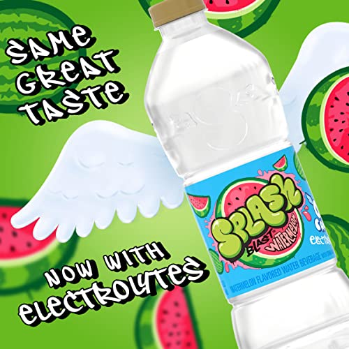 Splash Blast, Watermelon Flavored Water, Zero Sugar, with Electrolytes, 16.9 Fl Oz, 24 Pack