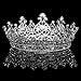 FUMUD Austrian Rhinestone Crystal Tiara Crown Peacock Bridal Hair Accessories For Wedding Quinceanera Tiara Crown Pageant Diamante Tiara (Silver)