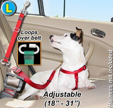 Seat Belt Tethers - Large - Stainless Steel Parts - Car Tether