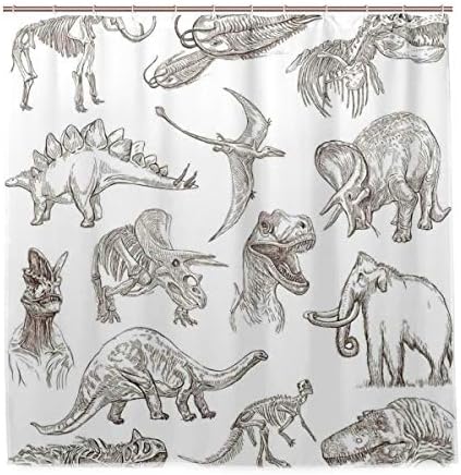 Amazon Patinisa 防水シャワーカーテン 歴史的な様々な恐竜イラストスケルトン生物学の配置 浴室 目隠し 間仕切り取付簡単 カーテンリング付属 おしゃれ バスカーテン 180ｘ180cm シャワーカーテン ホーム キッチン オンライン通販