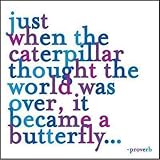 Just When the Caterpillar Journal