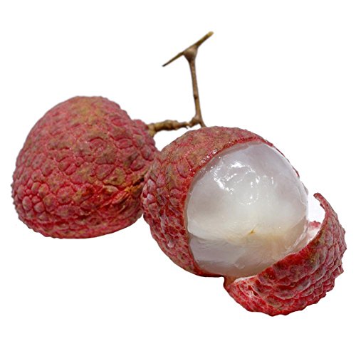 Taloyer 10pcs Fresh Lychee Litchi Seeds Sweet Delicious Bonsai Fruit Seeds