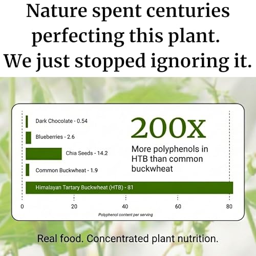 BIG BOLD HEALTH Himalayan Tartary Buckwheat Sprout Powder - Rich in Polyphenols & Prebiotic Fiber - Non-GMO, Gluten-Free, Grain-Free, Vegetarian - 30 Servings