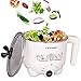 1L Liven Electric Hot Pot with SUS 304 Inner Pot, Cook Noodles and Boil Water Eggs Easy,Small Electric Cooker 600W 120V HG-X1007