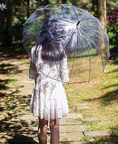 Lancoon Clear Bubble Umbrella 16 Ribs Big Size Windproof