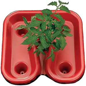 Park Seed Red Tomato Automator Tray, All-Purpose Feeder, Waterer, Weeder, Includes 3 Trays