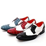 Ferro Aldo Mens Dress Wingtip Shoes Leather Lined Lace up Oxfords