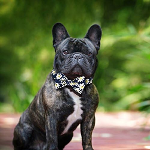 Pet Rejoir 5 Patterns Christmas Dog Collars & 8 Designer Holiday Dog Collars- Neck 12~15", 15~19" and 19~25" Adjustable Collar for Small, Medium and Large Dogs