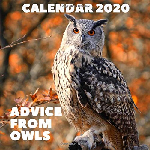 Advice From Owls Calendar 2020 November Buy Online In Aruba At Desertcart