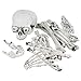 Halloween Haunters 18 Piece Bag of Skeleton Bones with Screaming Laughing Skull Prop Decoration - Flashing Bloodshot Eyes, Graveyard Human Body Part Set