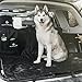 BarkinBuddy Back Seat Cover for Dogs - Car Dog Hammock for Back Seat - Full Doors Protection - Backseat Dog Cover for Car, SUV, Truck with 2 Headrest Covers, Collapsible Bowl, Dog Seat Belt