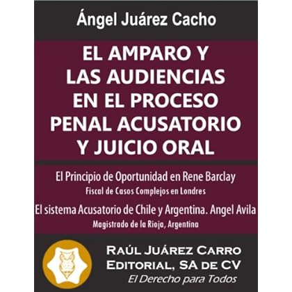 El Amparo y las Audiencias en el Proceso Penal Acusatorio y Juicio Oral El Amparo y las Audiencias en el Proceso Penal Acusatorio y Juicio Oral