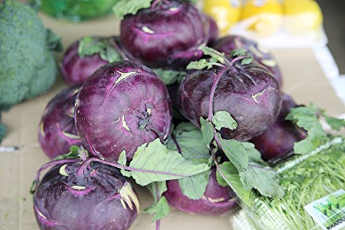 Kohlrabi Delikates Blauer - seeds