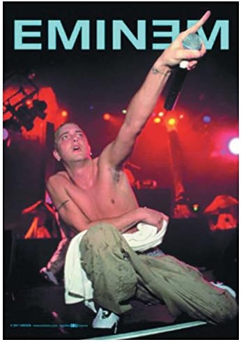 Poster Flag Eminem | URPS207 Eminem Live textile Poster Flag 40x30"
