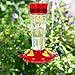 FORUP Hummingbird Feeder, Glass Bird Feeder, 5 Feeding Stations, 10-Ounce Nectar Capacity, Red