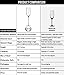 The Excelsior by DUX - Handmade, 100% Lead-Free, Crystal Champagne Flutes, Set of 2 Glasses, Elegant Gift Box