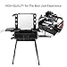 Ovonni LED Makeup Train Case, Lighted Rolling Travel Portable Cosmetic Organizer Box with Mirror & 4 Detachable Wheels, Professional Artist Trolley Studio Free Standing Workstation(Black)
