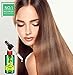Ginger Germinal Oil, Hair Growth Oil, 2019 Hair Growth Ginger Essential Oil, Ginger Germinal Essential Oil，Hair Loss Treatment Hair Care Hair Growth Serum for Men & Women 30mlthumb 1