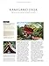 Japan's World Heritage Sites: Unique Culture, Unique Nature (Large Format Edition)