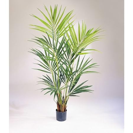 artplants Künstliche Kentia Palme Natural, 192 Blätter, 200 cm - hochwertige Dekopalme/Kunstpalme