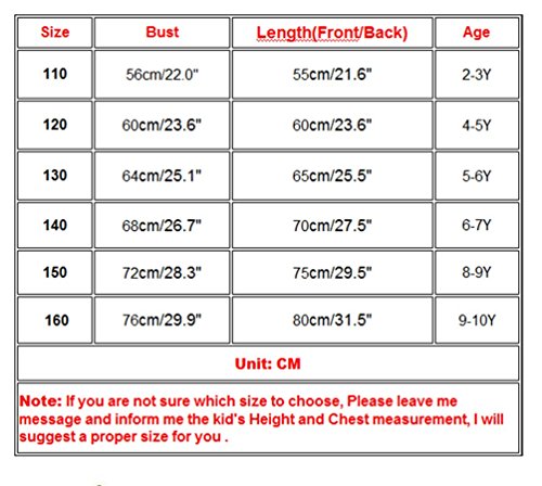 ZAH Girl Party Dress Kids Ruffles Lace Party Wedding Dresses 2T-10Years(Blue,8-9Y)