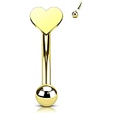 COCHARM Titanium Heart Star Moon Rook Spike Piercing Jewelry 16g, Surgical Steel Rook Earrings for Women Man, Silver Vertical Labret Jewelry, 8mm Spike Eyebrow Piercing Jewelry