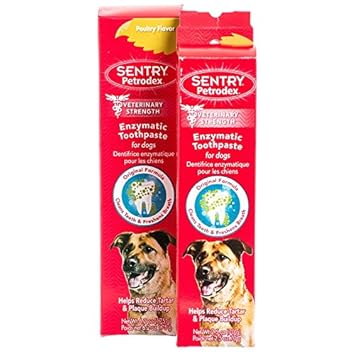 sentry petrodex toothpaste for dogs