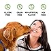 NutraPet Probiotics for Dogs Chewable, Digestive Health Supplement with Added Prebiotic, Vitamins and Minerals for an Active Lifestyle, 60 Tabs