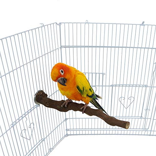 EBaokuup 5PCS Natural Wood Bird Perches For Parrot - Wooden Bird Parrot Stand Branches Parakeet