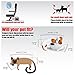 Pawfect Pets Pet Travel Carrier, Soft-Sided with Two Pet Mats for Small Dogs and Cats (Charcoal Grey)
