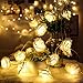 Rose Lights, Rose Flower Fairy String Light with 2 Optional Colors, 10ft 20 LEDs Battery Operated Night Light with Remote Control for Kids Bedroom, Mirror, Walls, Windows, Wedding (White&Yellow) primary