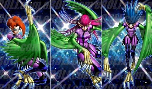 Amazon Amazonplaymat1428 カスタム プレイマット 遊戯王 英語版 Harpies 3 Fotb En0 ハーピィ クィーン Harpies 3 トレカ 通販