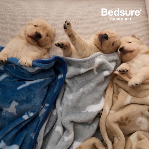 Bedsure Dog Blanket for Small Dogs Puppy