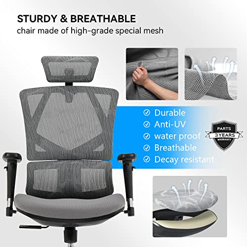 SIHOO Ergonomic Office Chair High Back Desk Chair with Lumbar Support