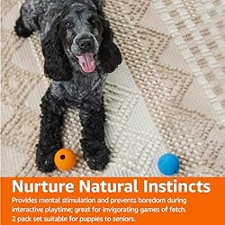 Amazon Basics Squeaker Toy Dog