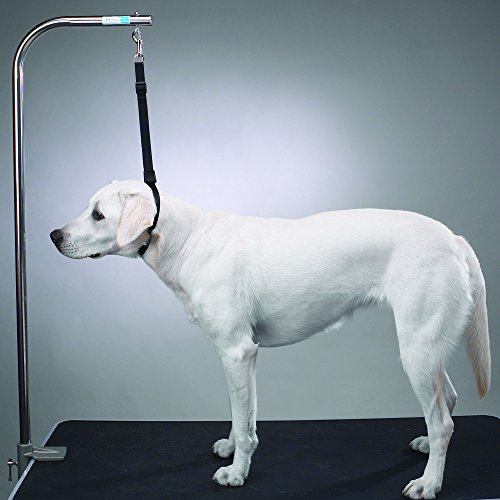 Top Performance Adjustable Nylon Table Harnesses - Versatile Nylon Harnesses to Safely Secure Dogs on Tabletops While Grooming, 27"