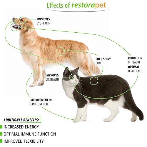 RestoraPet Unflavored Organic Pet Supplement for Dogs, Cats & Horses | Healthy & Safe Antioxidant Liquid Drops | Anti-Inflammatory Multi-Vitamin | Increases Mobility, Energy & Reduces Joint Pain - Thumbnail 6