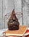 The StoreKing Wooden Eyeglass Spectacle Holder Handmade Nose Shaped Stand for Office Desk Home Decor Gifts (Beard Design)
