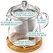 Glass Teapot with Infuser and Bamboo Trivet in Beautiful Gift Box - Premium Quality - Oversized Removable Strainer - Lid Fits With or Without Strainer - Loose Leaf & Blooming Tea Pot - Perfect Gift
