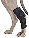 BACK ON TRACK Therapeutic Dog Hock Brace (Pair), Color: Black, Size: S (31020001)