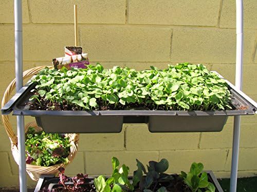 Estantería para macetas, stand para plantas 65x31x136 cm: Amazon ...