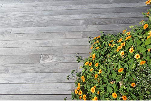 Muster Terrassendielen Thermoholz Esche Sichtseite gebürstet, 20 x 112 mm (8,90 € / lfm) – Bild 4