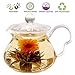 Glass Teapot No Drip Special Lead Free Glass (20 oz Fairy Clear)