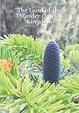 The Land of the Thunder Dragon Kingdom (Heal The World) by 