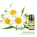 Jasmine Chamomile Essential Oil,10ML Natural Pure Aromatherapy Oils Therapeutic Grade, Value 2 Pack
