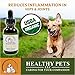 Healthy Pets Hemp Oil for Dogs, Dog Anxiety Relief, Hemp Oil for Pets, Dog Pain Relief, Oil for Dogs, Cat Anxiety Relief, Arthritis Pain, Hip and Joint Pain, USDA Certified Organic