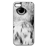 1 X Vintage Owl Hard Case Cover Skin for iphone 5, Retro Owl Hard Case Cover Skin for iphone 5