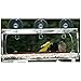 Tranquil Outdoors Large Acrylic Window Bird Feeder: Strong Removable Suction Cup Mounted Outdoor Bird House Feeder, Clear Birdfeeders for Large & Small Birds. Best See Thru Feeder for Bird Watching