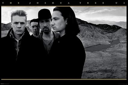 Image result for The Joshua Tree album cover